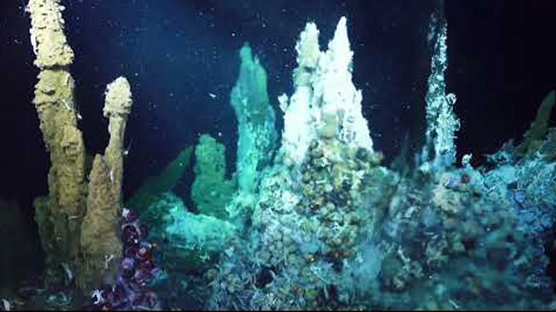 The Glove Box | Shaanxi Achieve chem-tech The Glove Box | Shaanxi Achieve chem-tech